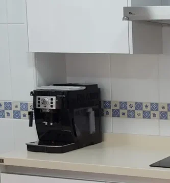 Mejor oferta Delonghi Magnifica S Ecam 22.110.b