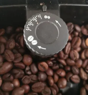 Venta Delonghi Magnifica S Ecam 22.110.b barata