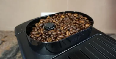 Opiniones Krups Roma EA81R870